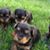 Gary Simle's profile image