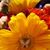Christy Smith's profile image