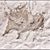 Lisa Clark's profile image