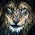 Matthew Smith's profile image