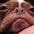 Brandon Bullifin's profile image