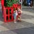 Beverley Clennell's profile image