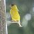 Christine Tracy's profile image