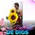 Dariana Torres's profile image