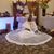 Maria Rodriguez Angel's profile image