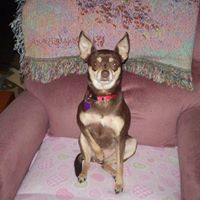 Jane Feigenbaum's profile image