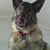Marci Kirlin's profile image