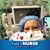 Deborah Lynn's profile image