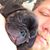 Jeremiah Johnson's profile image
