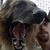 Manuel Schmalz's profile image
