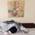 Deb Elliotte's profile image