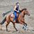 Sarah Purves's profile image
