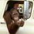 John Swetson's profile image