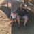 Angie Damen's profile image