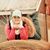 Savanna Drewek's profile image