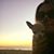 Sarah Roberto's profile image