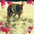 Tammy Denton's profile image