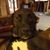 Cindy Holtz's profile image