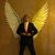 Michael Longoria's profile image