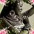 Farha Eve's profile image