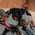 Jackie Meints Binion's profile image