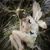 Sandra Lee's profile image
