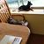 Susan Barnette's profile image