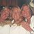 Tina Bracewell's profile image