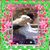 Lori Seitz's profile image