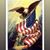 Patti Shades Navarro's profile image