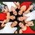 Sandra Trevino's profile image