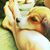 Sondra Loring's profile image