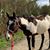 Lena Struble Pradel's profile image