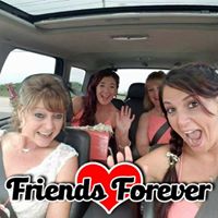Dianne Setien's profile image
