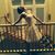 Agata Paulina's profile image