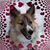 Cassi Borchardt Chevalier's profile image