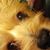 Judy Effler's profile image