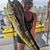 Beverly Coggin's profile image
