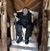 Dana A. Wildes's profile image