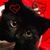 Martha Harvey's profile image