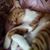 Corinna Guillet's profile image