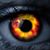 Fenix MX's profile image