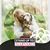 Hallie Wallen Bailey's profile image