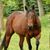 Kelli Phillips Wilson's profile image