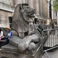 Kali Klein's profile image