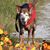 Susan Holcombe's profile image