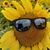Jake Ross's profile image