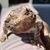 Bjorn Vijayanagar's profile image