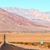 Marie Barret Lefort's profile image