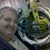 Scott Crabtree's profile image